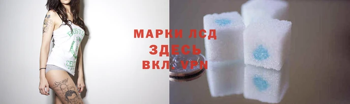 твердый Дмитров