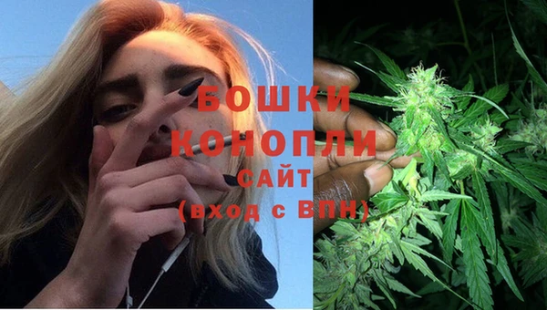 твердый Дмитров