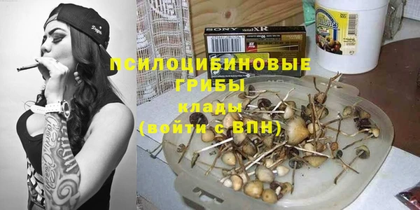 твердый Дмитров