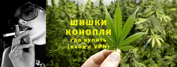 твердый Дмитров