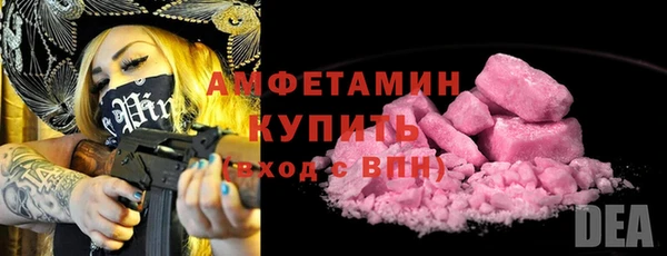 твердый Дмитров
